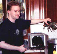 It's not a bug, it's a lobster.  See the pot?  He's about to be boiled.